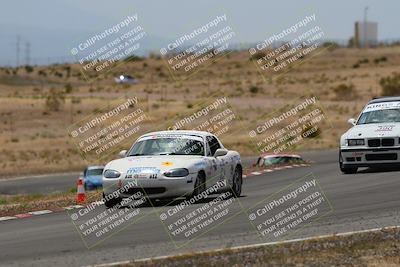 media/May-03-2025-Lucky Dog Racing (Sat) [[206de64b9d]]/Turn 6 (150pm-230pm)/